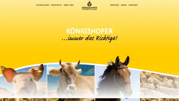 Website Screenshot: Hier entsteht dieder Assmannmühlen GmbH Königshofer! - KÖNIGSHOFER Futtermittel - hochwertige Futtermittel aus Österreich - Date: 2023-06-23 12:05:06