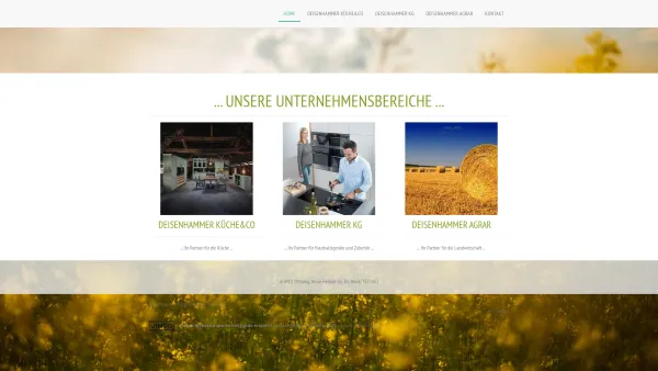 Website Screenshot: Ing. Deisenhammer Robert / küche&co - küche&co - Date: 2023-06-23 12:05:26