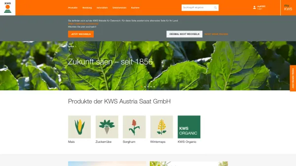 Website Screenshot: KWS Austria Saat GmbH - KWS Austria - Zukunft säen - KWS Austria Saat GmbH - Date: 2023-06-15 16:02:34