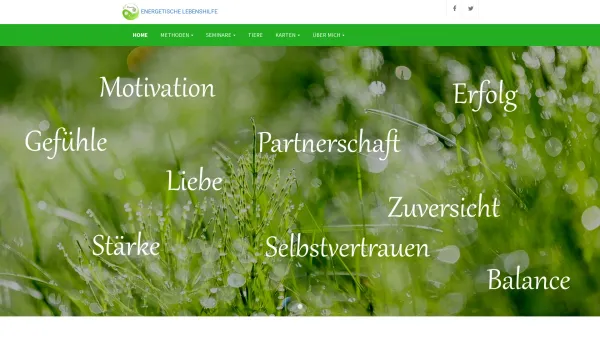 Website Screenshot: Moser Irene - Energetische Lebenshilfe mit Unterstützung von Irene Moser | Humanenergetikerin - Date: 2023-06-23 12:05:49