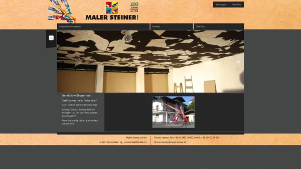 Website Screenshot: Werbetechnik Maler Steiner GmbH - Date: 2023-06-14 10:37:55