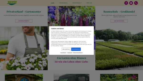Website Screenshot: Mayer Pflanzen GmbH, Oberer Bonauweg 6b, 5020 Salzburg - Mayer Pflanzen in Salzburg | Pflanzenhändler und Baumschule - Date: 2023-06-15 16:02:34