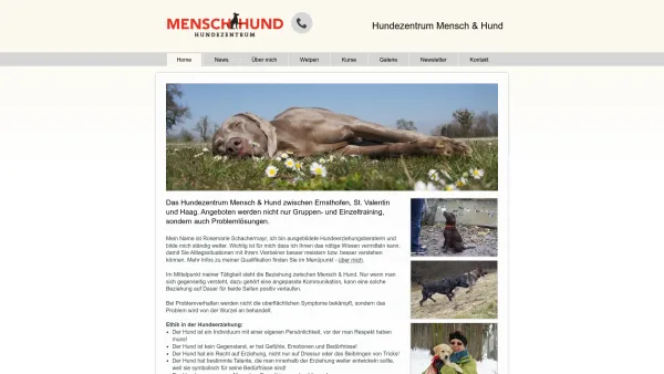 Website Screenshot: Hundezentrum Mensch-Hund - Aktuelles - Date: 2023-06-14 10:43:50