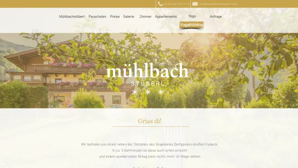 Website Screenshot: Mühlbachstüberl - Mühlbachstüberl | muehlbachstueberl - Date: 2023-06-23 12:07:33