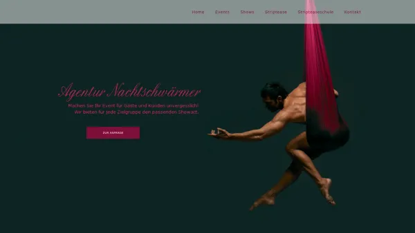 Website Screenshot: Agentur Nacktschwärmer - Home - Nachtschwärmer - Date: 2023-06-23 12:07:40