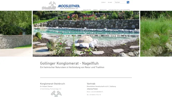 Website Screenshot: Dr. Hubert Steiner Steinbruch Gollinger Konglomerat (Nagelfluh-)-Natursteinbruch Internationale Transporte - Naturstein Konglomerat - Date: 2023-06-14 10:44:04