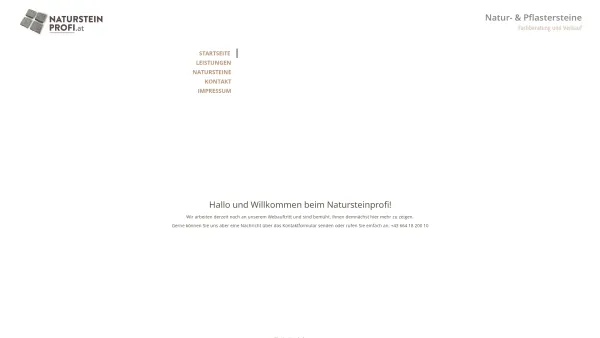 Website Screenshot: Natursteinprofi e.U. - Natursteinprofi.at - Startseite - Date: 2023-06-23 12:07:44