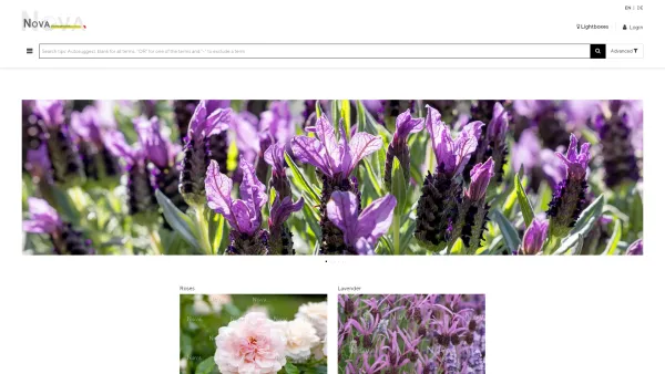 Website Screenshot: Nova-Photo-Graphik Bildverwertungsgesellschaft Nova Photo Graphik The Horticultural Image Library - Date: 2023-06-23 12:08:01