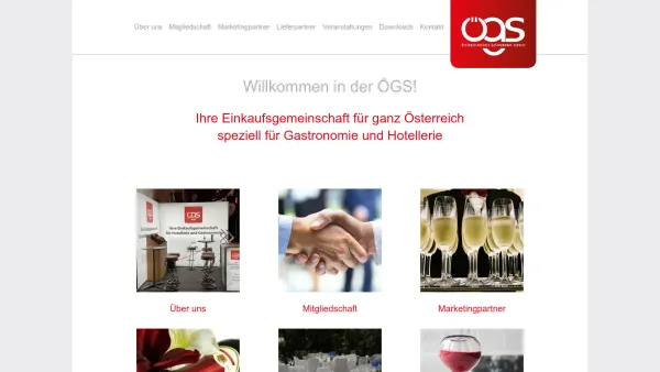Website Screenshot: ögs Handels GmbH Mehr Erfolg. Mehr Gewinn. Mehr Leistung. - ÖGS - Handels GmbH - Date: 2023-06-15 16:02:34