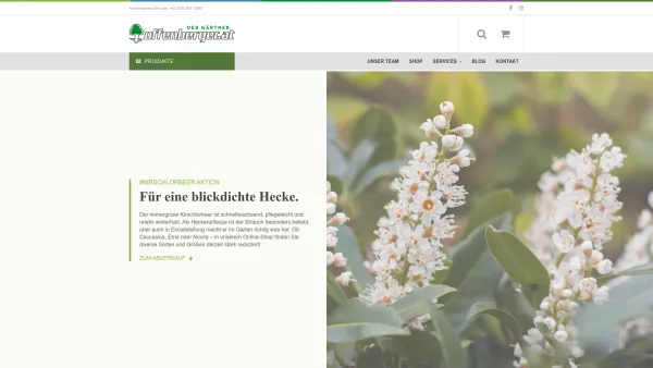 Website Screenshot: Jürgen Offenberger Der Gärtner - Offenberger Garten - Baumschule & Gartengestaltung | Haag - Date: 2023-06-23 12:08:17