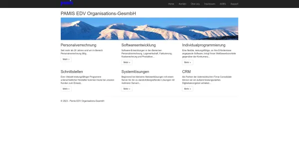 Website Screenshot: pamis EDV Organisations-GesmbH - Pamis EDV Organisations-GesmbH - Date: 2023-06-23 12:08:34