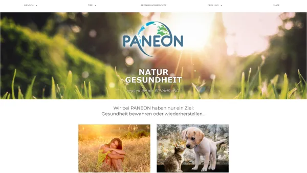Website Screenshot: PANEON - PANEON - Date: 2023-06-26 10:26:38