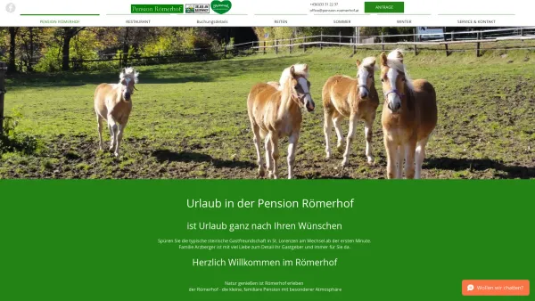 Website Screenshot: Pension Römerhof - Pension Römerhof, St. Lorenzen am Wechsel, Steiermark, Verwöhnpension - Date: 2023-06-23 12:08:49