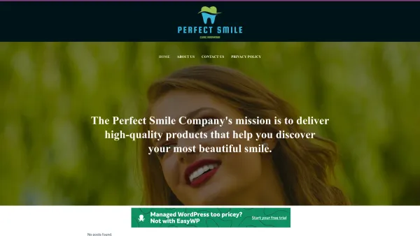 Website Screenshot: Dr. Brigitte Klotzinger-Höll Zahnärztliches Zentrum perfect smile - Front Page - Perfect Smile - Date: 2023-06-23 12:08:52