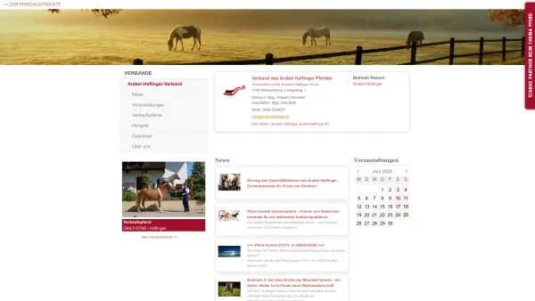 Website Screenshot: pferdezucht-austria - Verbände / Araber-Haflinger-Verband - Date: 2023-06-15 16:02:34