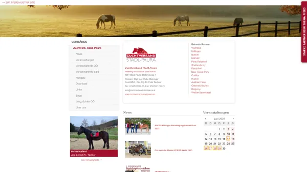 Website Screenshot: Landesverband d Pferdezüchter pferdezucht-austria - Verbände / Zuchtverb. Stadl-Paura - Date: 2023-06-15 16:02:34