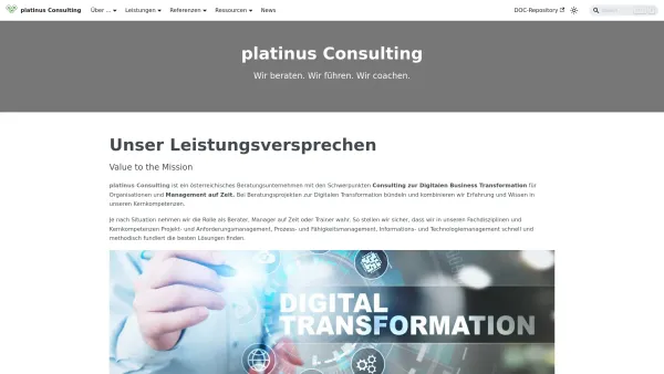 Website Screenshot: platinus CONSULTING GMBH - PCG - platinus Consulting | platinus Consulting - Date: 2023-06-26 10:18:58
