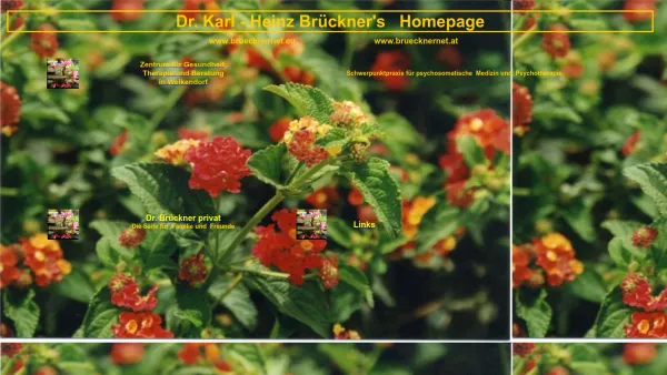 Website Screenshot: Brückner Karl-Heinz progesundheit.at - Start - Date: 2023-06-26 10:19:21