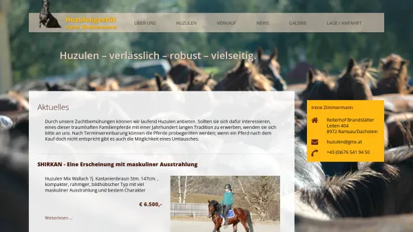 Website Screenshot: Reiterhof Brandstätter Ramsau am Dachstein - Startseite - Huzulengestüt Irene Zimmermann - Date: 2023-06-26 10:19:58