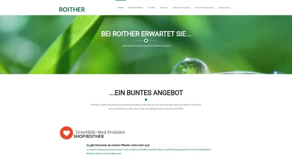 Website Screenshot: Baumsachverständiger & Medizinprodukte Christian Roither - ROITHER - Date: 2023-06-26 10:20:17