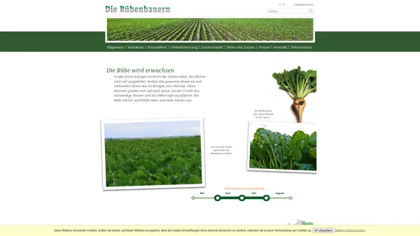 Website Screenshot: Rübenbauernbund f NÖ u Wien zuckerrueben.at - Startseite - Die Rübenbauern - Date: 2023-06-26 10:20:24