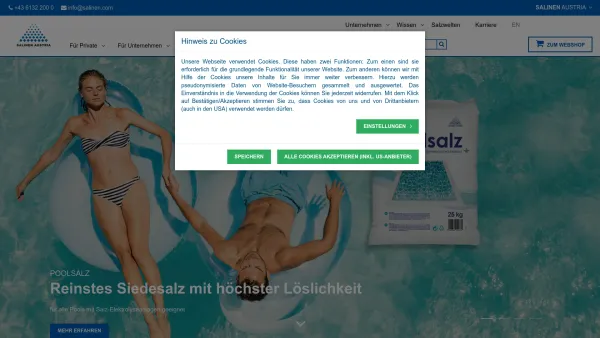 Website Screenshot: Salinen Austria Aktiengesellschaft - Salinen Austria AG Startseite - Date: 2023-06-14 10:44:57