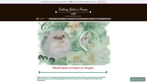 Website Screenshot: Cattery Satins Perser - Satins | Https://satins-perser.wixsite.com/austria - Date: 2023-06-14 10:44:57
