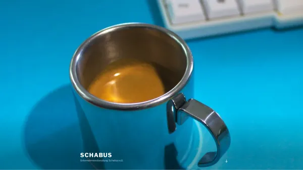 Website Screenshot: Schabus PR und Marketing - schabus – Unternehmensberatung Schabus e.U. - Date: 2023-06-15 16:02:34