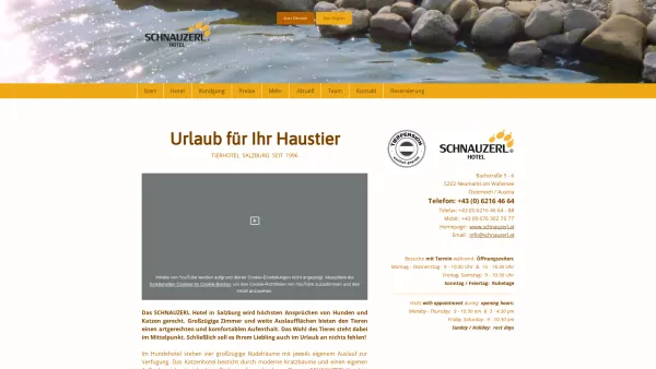 Website Screenshot: SCHNAUZERL-Hotel - SCHNAUZERL Hundepension Katzenpension - Schnauzerl Hotel - die beste Tierpension in Salzburg - Date: 2023-06-14 10:38:04