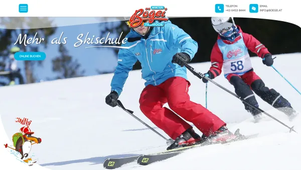 Website Screenshot: Gebrüder Salchegger intro - Home - Skischule Bögei in Filzmoos - Date: 2023-06-26 10:21:40