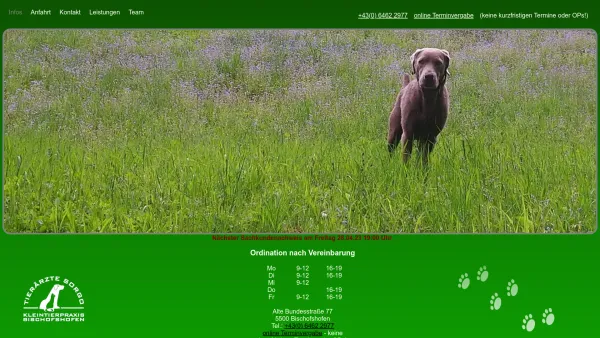 Website Screenshot: Tierärzte Britta und Michael Sorgo Bischofshofen Tierarzt - Tierärzte Sorgo - Date: 2023-06-15 16:02:34