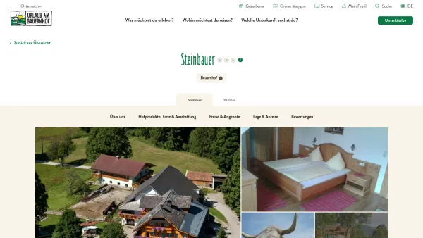 Website Screenshot: Biobauernhof Guide Steinbauer - Steinbauer, Ramsau, Schladming-Dachstein | Urlaub am Bauernhof - Date: 2023-06-26 10:22:18