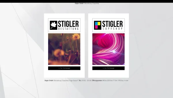 Website Screenshot: Kopieren bei www.stigler.at Stigler Co Qualitätskopien Bestattung) - Stigler Bestattung | Stigler Copyshop - Date: 2023-06-26 10:22:27