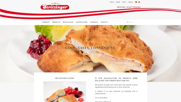 Website Screenshot: Fa. Stritzinger, Gaspoltshofen - Stritzinger Import Export GesmbH - Home - Date: 2023-06-26 10:22:36