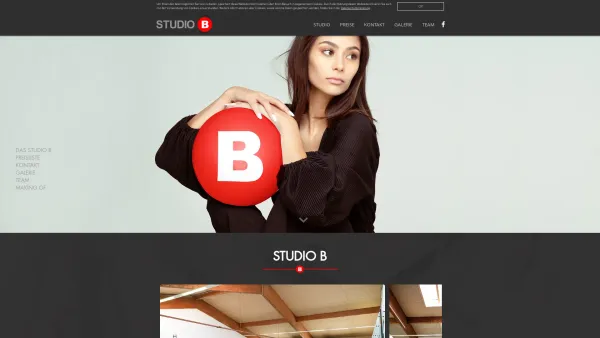 Website Screenshot: Sascha studio-b - Studio B | Fotostudio in Salzburg mieten - Date: 2023-06-14 10:45:34
