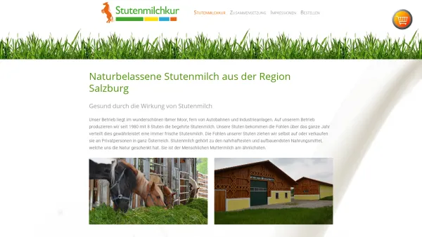 Website Screenshot: Stutenmilcherzeugung - Stutenmilch Salzburg, naturbelassen | online kaufen - Date: 2023-06-26 10:22:39
