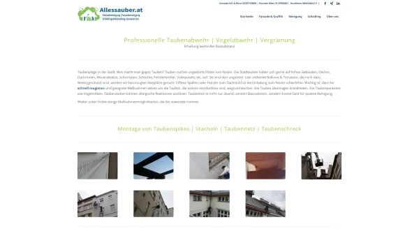 Website Screenshot: Taubenabwehr Buchberger GmbH - Professionelle Taubenabwehr & Vogelabwehr | Notdienst - Date: 2023-06-26 10:22:53