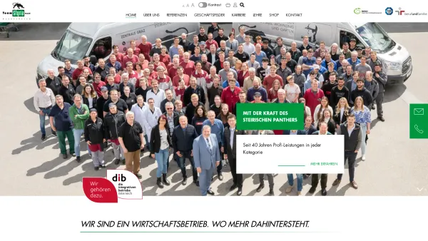 Website Screenshot: Team Styria - Startseite - Team Styria Werkstätten GmbH - Date: 2023-06-15 16:02:34