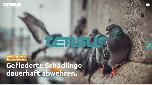 Website Screenshot: TERSUS Betriebshygiene GmbH - Startseite – TERSUS Betriebshygiene GmbH – Dienstleistungen - Date: 2023-06-15 16:02:34