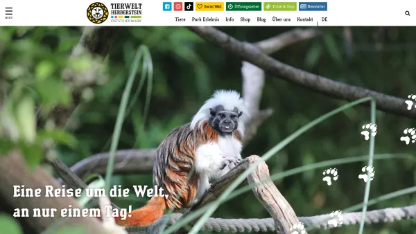 Website Screenshot: Tierwelt Herberstein - Tierwelt Herberstein / Steirischer Landestiergarten - Date: 2023-06-14 10:36:55