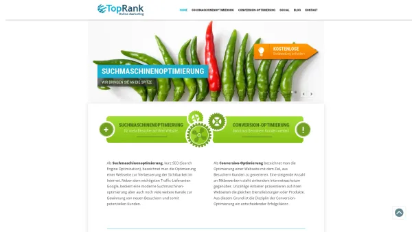 Website Screenshot: TopRank Suchmaschinenoptimierung - ᐅ Suchmaschinenoptimierung und Conversion-Optimierung - TopRank - Date: 2023-06-26 10:23:31