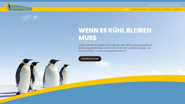 Website Screenshot: Traunsee Kälte-Klima GmbH - Kältetechnik in Oberösterreich - Traunsee Kälte - Klima GmbH - Date: 2023-06-26 10:23:39