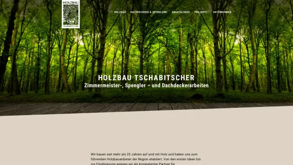 Website Screenshot: Reinhold Holzbau Tschabitscher Steinfeld/Drau - Holzbau Tschabitscher – Zimmerei, Spenglerei & Dachdeckerei in Oberkärnten - Date: 2023-06-26 10:23:45