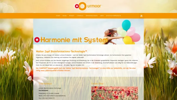 Website Screenshot: Urmoor www.zapf-system.com - Home - Date: 2023-06-14 10:45:57