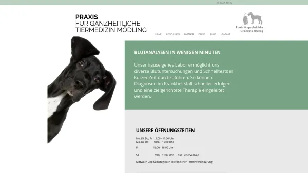 Website Screenshot: Die ALTERNATIVE Tierarztpraxis Mag. Katharina Metzker & ihr Team - HOME | ganzheitlichetiermedizin.at - Date: 2023-06-26 10:24:08