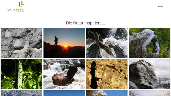 Website Screenshot: VOLL-LEBEN Lkw Werbung & Werbeflächenvermietung - Voll Leben - Nutze die Zeit ... Thomas Ribis ... Stubaier Steinriesen - Date: 2023-06-14 10:37:07