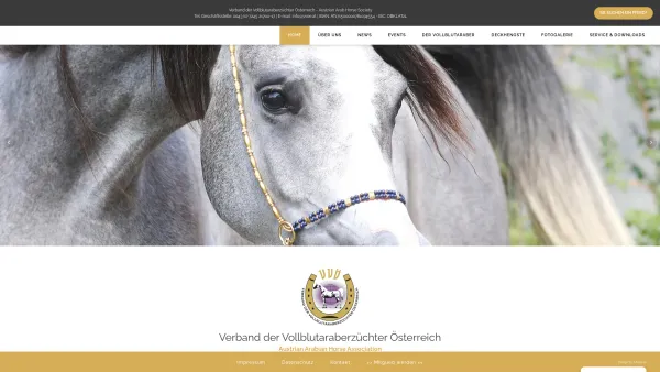 Website Screenshot: VVÖ Vereder Vollblutaraberzüchter Österreich - Verband der Vollblutaraberzüchter Österreich - Date: 2023-06-26 10:24:25