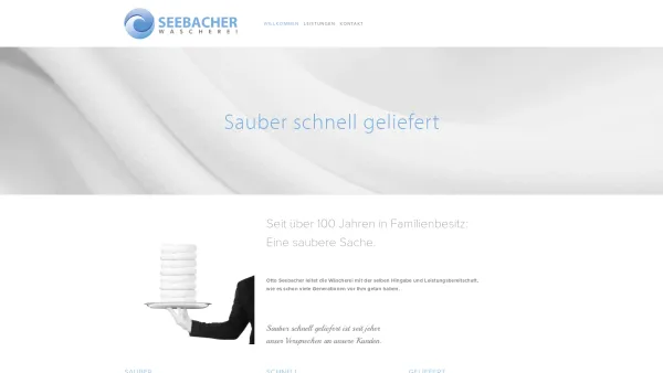 Website Screenshot: Wäscherei Seebacher - Seebacher - Date: 2023-06-26 10:24:28