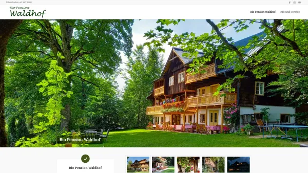 Website Screenshot: Pension Waldhof - Bio Pension Waldhof in Ramsau am Dachstein 03687 81545 - Date: 2023-06-14 10:46:08
