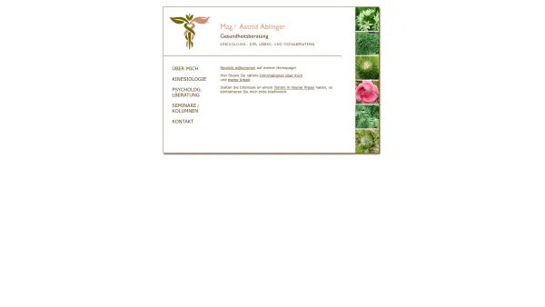 Website Screenshot: Mag. Astrid Ablinger Gesundheitsberatung - Astrid Ablinger Gesundheitsberatung - Kinesiologie, Lebens- und Sozialberatung - Date: 2023-06-26 10:24:40